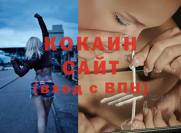 эйфоретик Арсеньев