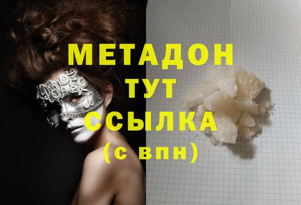 стаф Алзамай
